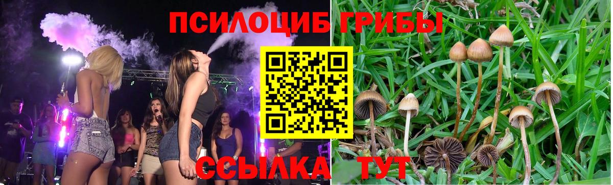 Псилоцибиновые грибы мухоморы Люберцы