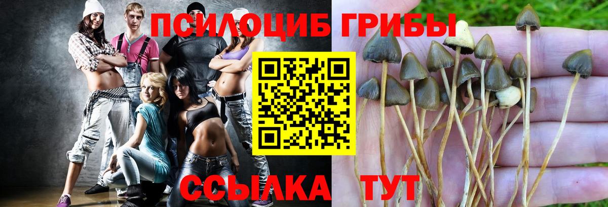 Люберцы  Псилоцибиновые грибы Psilocybe  сколько стоит  Вход с VPN 